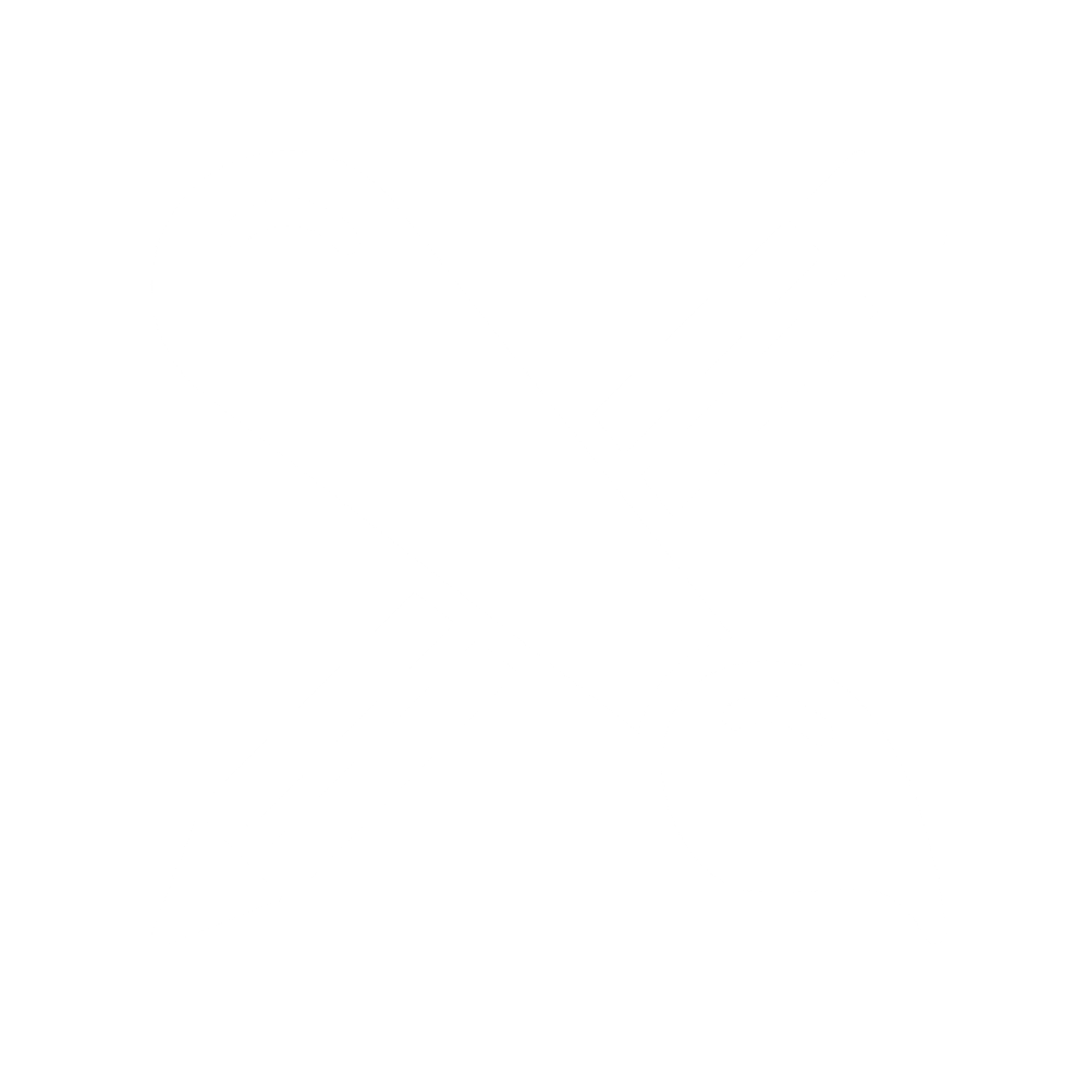 Customise Icon Weiß