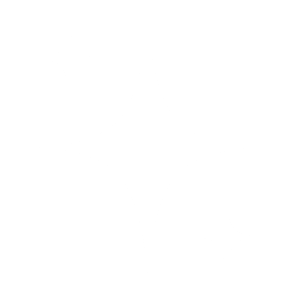 Sparkle Icon White